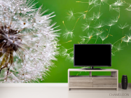 Фотообои Одуванчик летит - 2