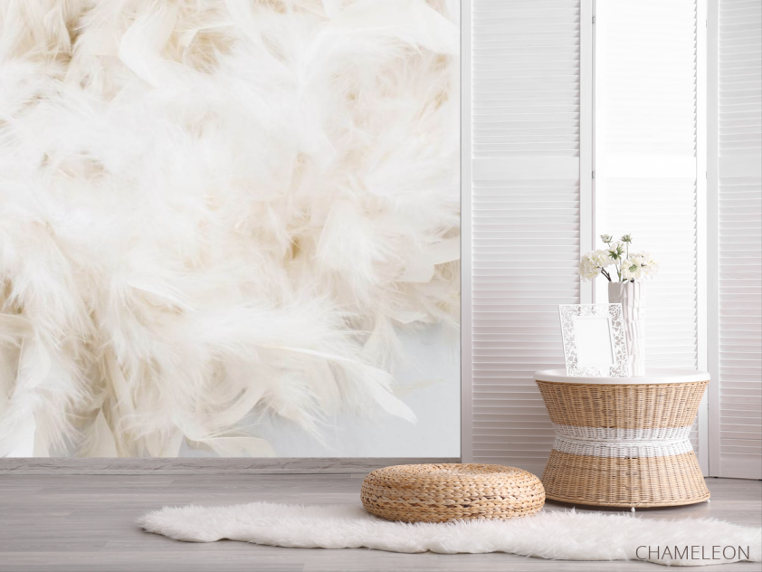 Фотошпалери Бежеві пір'я - 2
