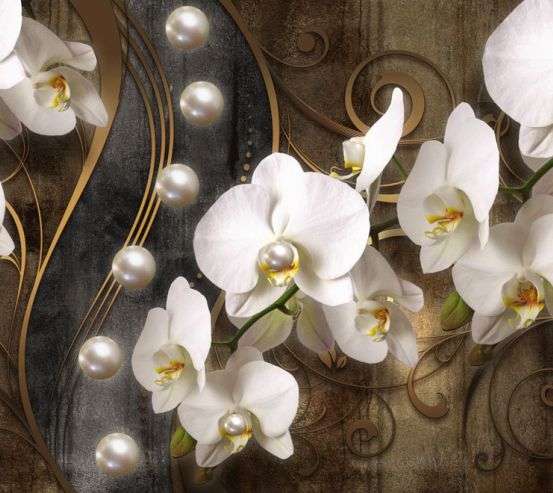 Фотообои 3д белые орхидеи 23938