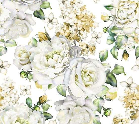 Фотообои белые розы на белом фоне Фотообои белые розы на белом фоне 21454