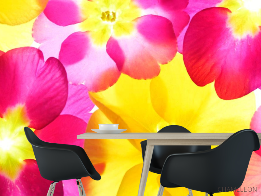 Фотошпалери Рожево-жовті квіти - 1