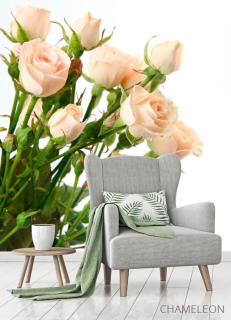 Фотообои Бежево-белые розы - 3