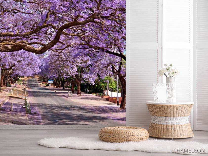 Фотошпалери Колір, дорога - 2