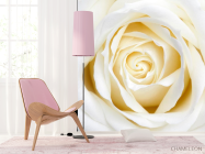 Фотошпалери Бежево-біла трояндочка - 4