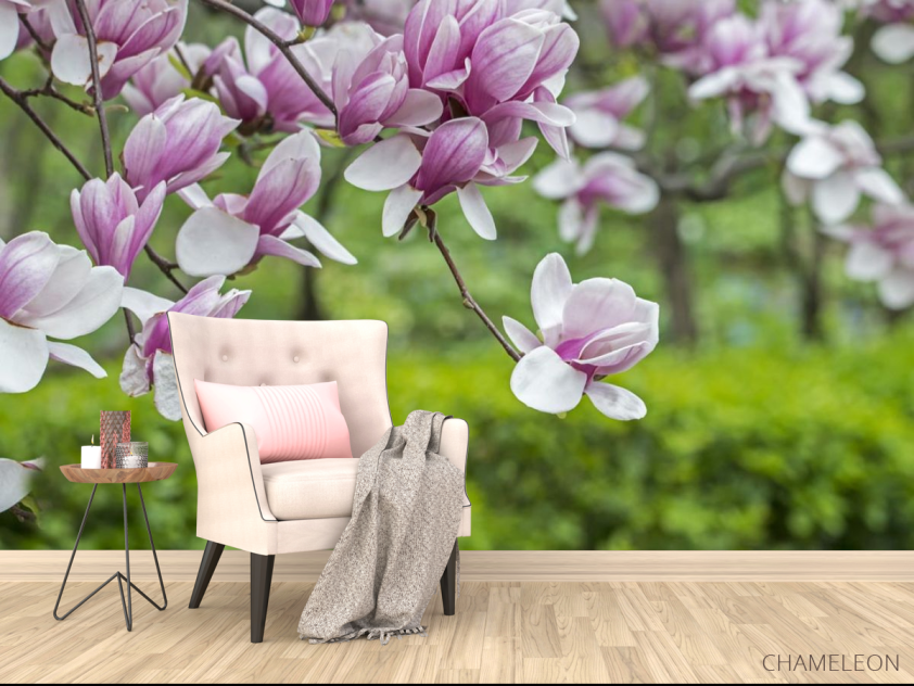 Фотообои нежная магнолия - 4