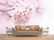 Фотообои Цветущий весной абрикос - 1