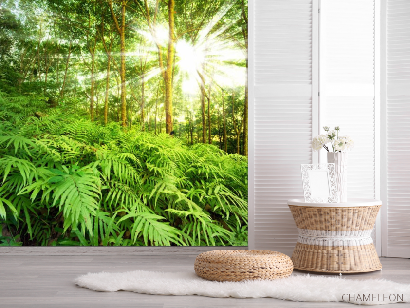 Фотошпалери природа - 2