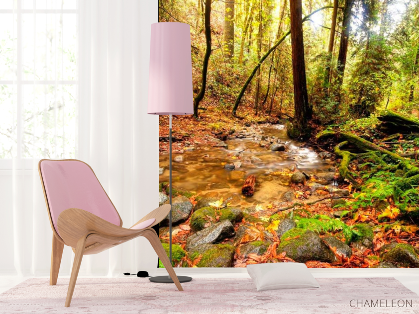 Фотошпалери Струмок у лісі - 4
