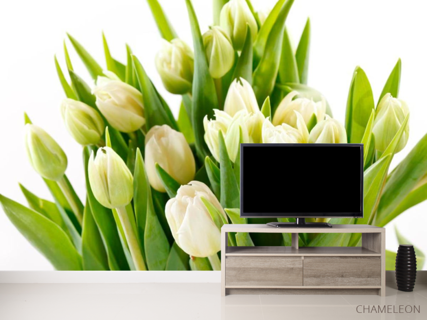 Фотообои Тюльпаны - 2