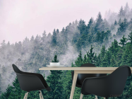 Фотошпалери ліс в тумані - 1