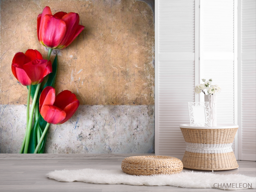 Фотообои Три красных тюльпана - 2