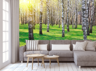 Фотообои Лес, березы, солнце - 3