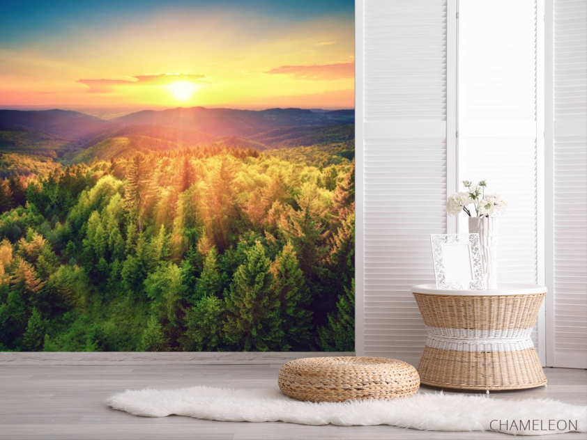 Фотошпалери захід сонця над сосновим лісом - 2