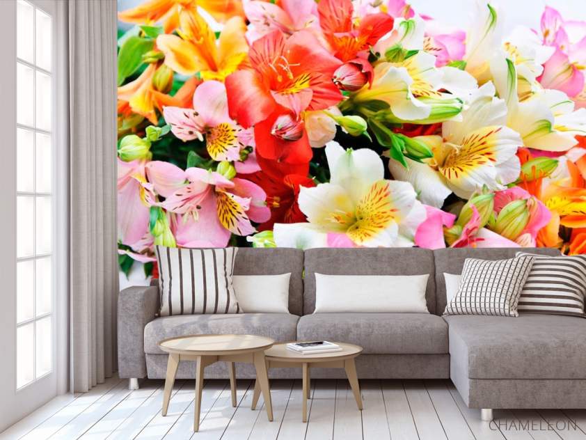 Фотообои Цветник - 3