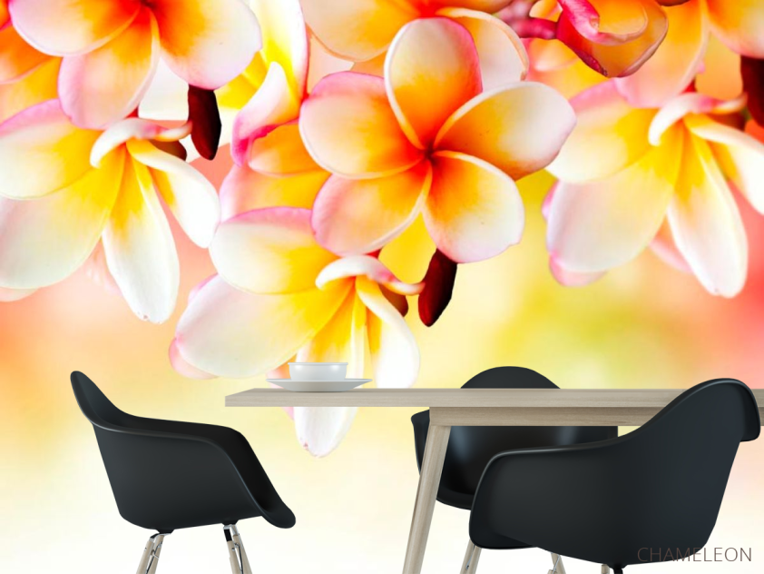 Фотообои Бело-желтые цветочки - 1