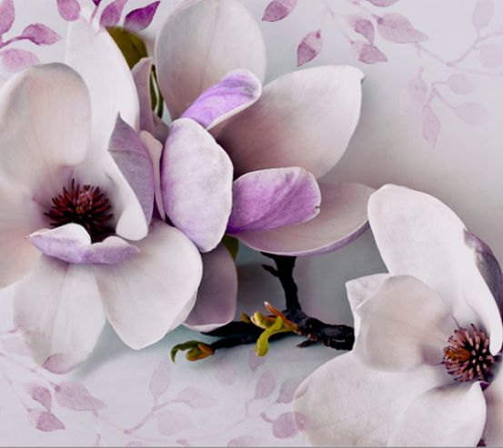 Фотообои 3D цветы 17672_1