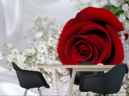 Фотошпалери Роза і перли - 1