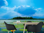 Фотошпалери Річка, хмари, кубушки - 1