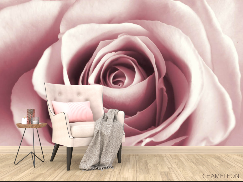 Фотообои бутон розовой розы - 4