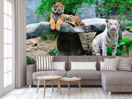 Фотообои Любознательные тигры - 3