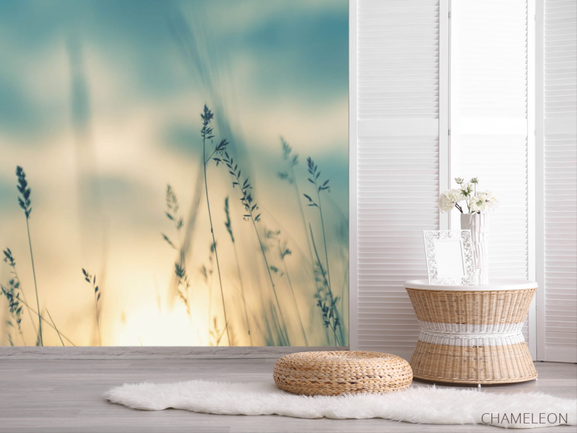 Фотошпалери сухоцвіти на заході сонця - 2