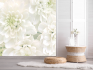 Фотошпалери Білі хризантеми - 2