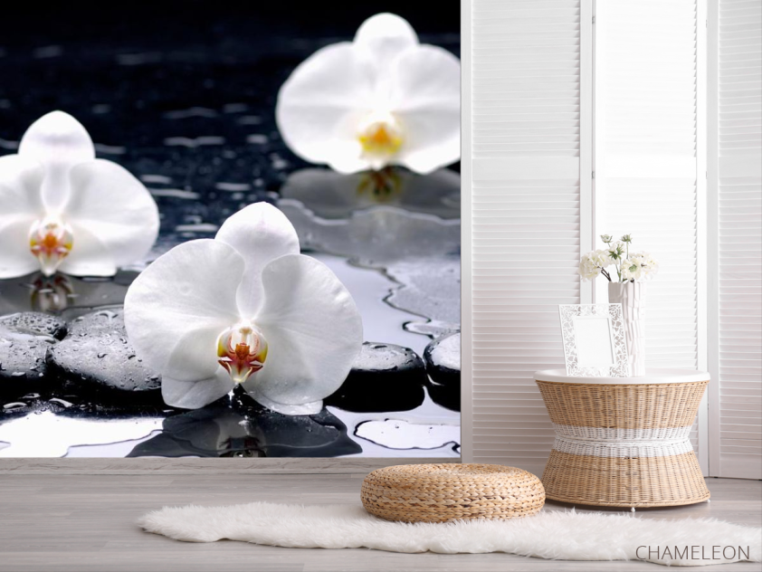 Фотошпалери Орхідеї на чорних каменях - 2