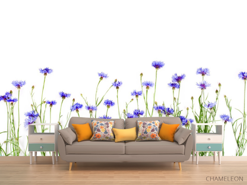 Фотообои Волошки синие - 1