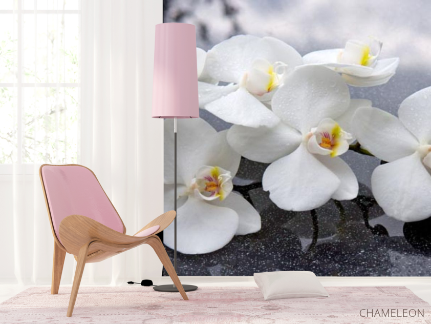 Фотошпалери білі орхідеї на чорних каменях - 4