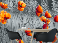 Фотошпалери червоні маки на чорно-білому тлі - 1