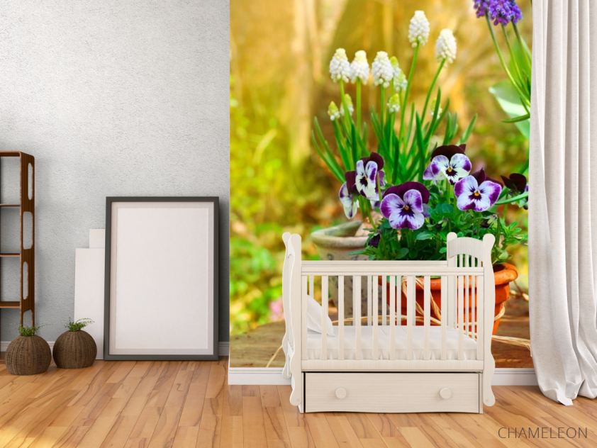 Фотообои Горшочек с фиалками - 2