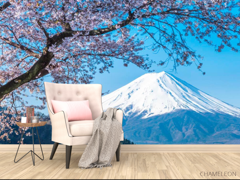 Фотообои Гора, снег,цвет - 4