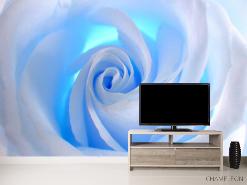 Фотообои роза - 2