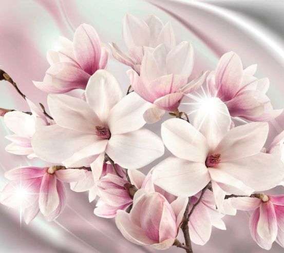 Фотообои Фиолетовые магнолии Фотообои Фиолетовые магнолии 19994