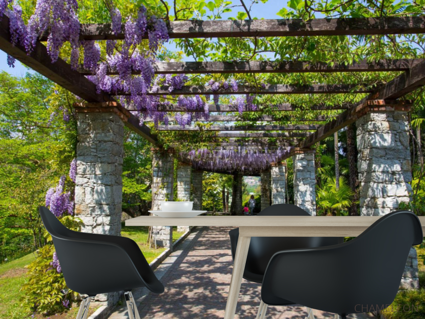 Фотошпалери Арка з гліцинією - 1