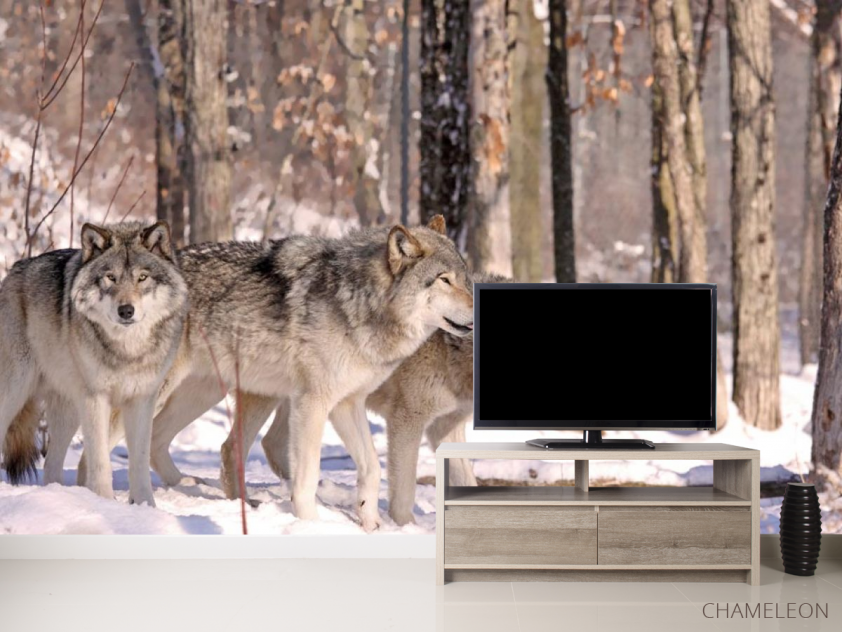 Фотообои волки в лесу - 2
