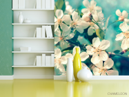 Фотошпалери Квіти вишневі у вазі - 3