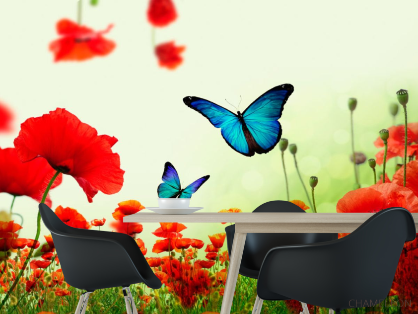 Фотошпалери Червоні маки з метеликами - 1