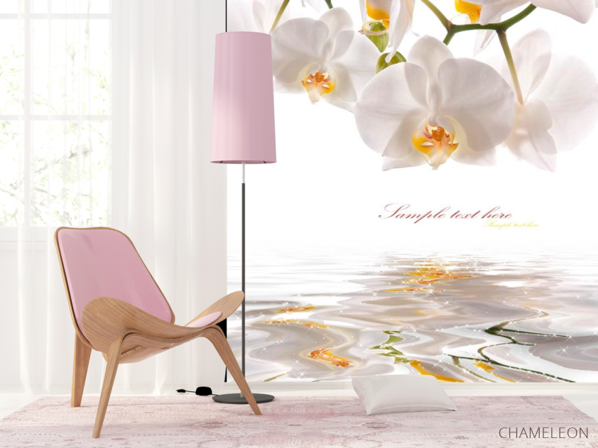 Фотошпалери Орхідеї білосніжні - 4