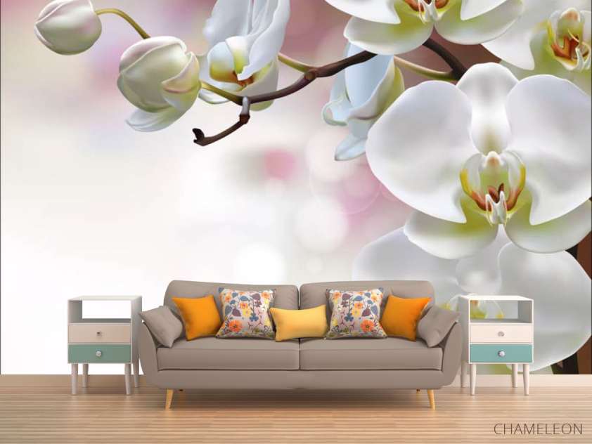 Фотообои Орхидеи - 1