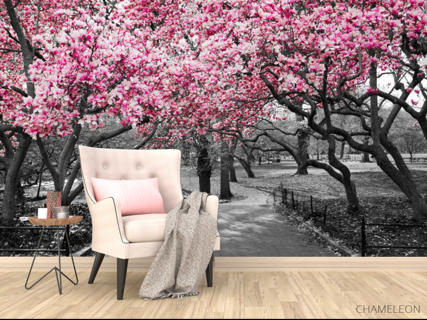 Фотообои Розовые деревья в парке - 4