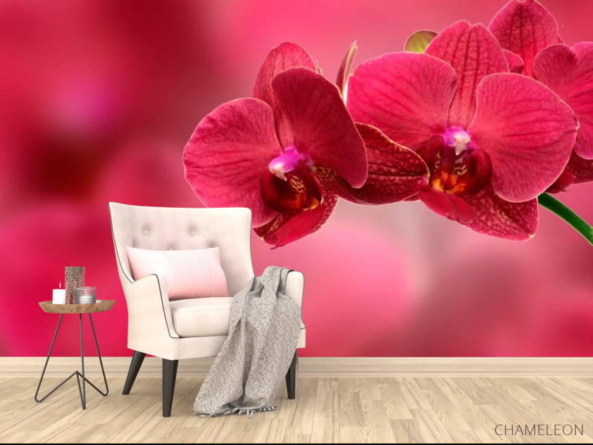 Фотообои Красные орхидеи - 4