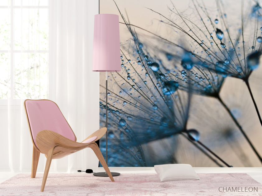 Фотошпалери кульбаби - 4