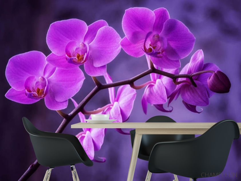Фотошпалери орхідея - 1