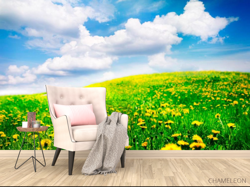 Фотообои Тучи, небо, луг - 4