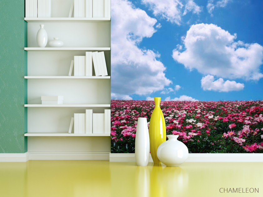 Фотошпалери Квіти, небо, хмари - 3