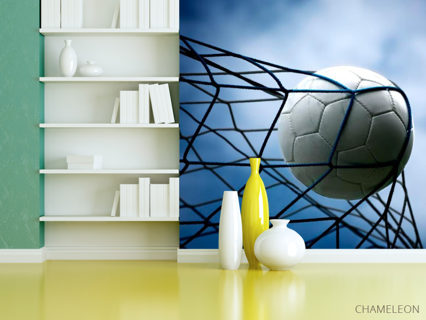 Фотошпалери М'яч у сітці - 3