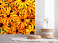 Фотошпалери Квіти жовтого кольору - 2