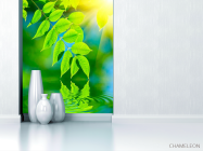 Фотообои Зелень над водой - 1