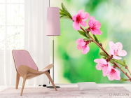 Фотошпалери Розпустилися квіти навесні - 4